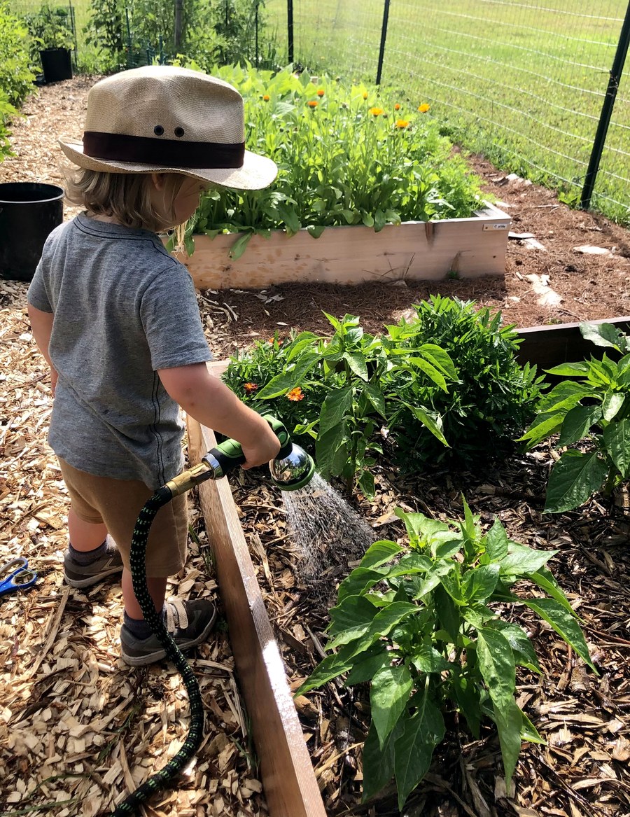 Abby's child watering the garden at the homestead